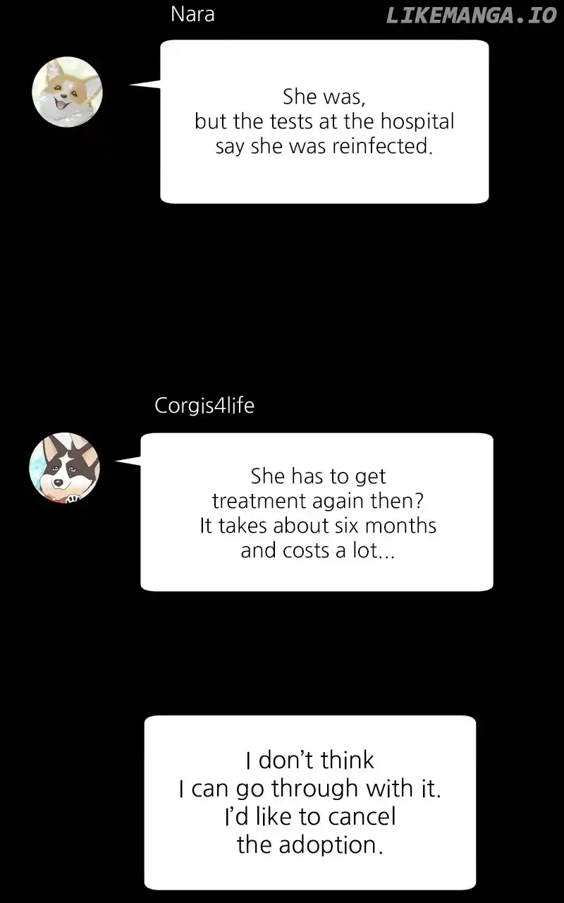 The Dog Diaries Chapter 141