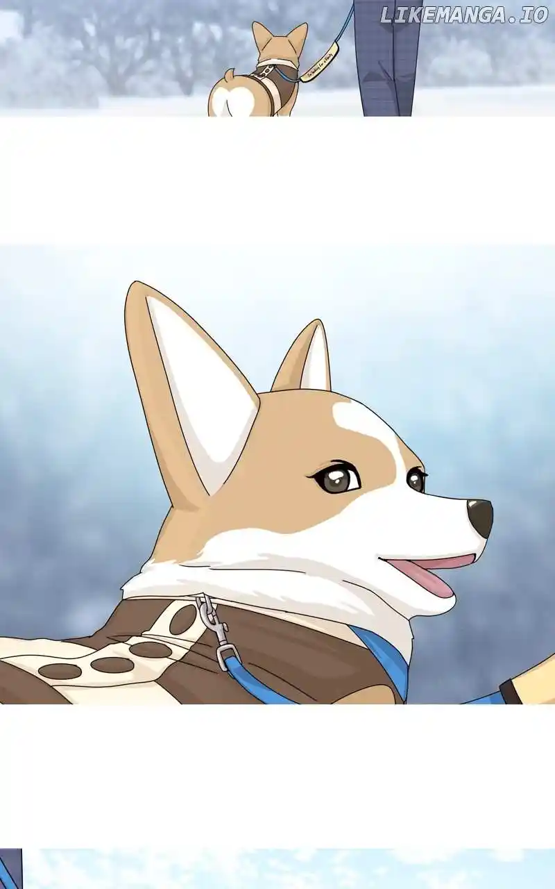 The Dog Diaries Chapter 141