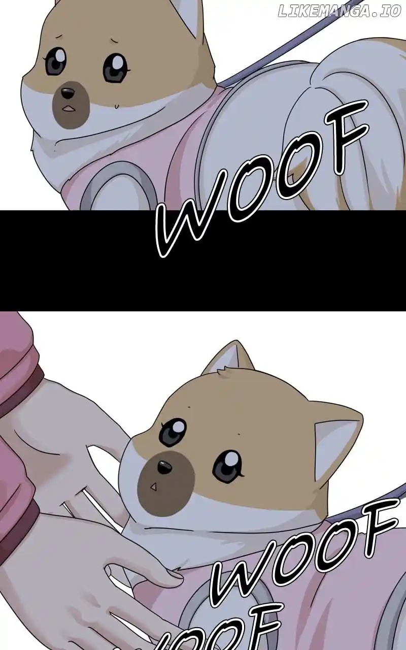 The Dog Diaries Chapter 141