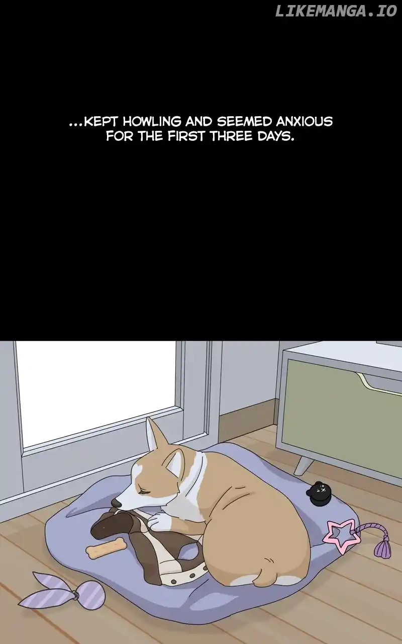 The Dog Diaries Chapter 142