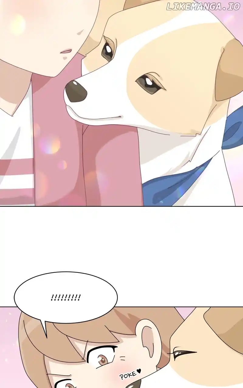 The Dog Diaries Chapter 142