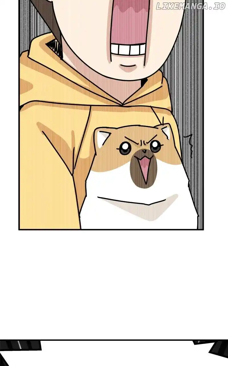 The Dog Diaries Chapter 143