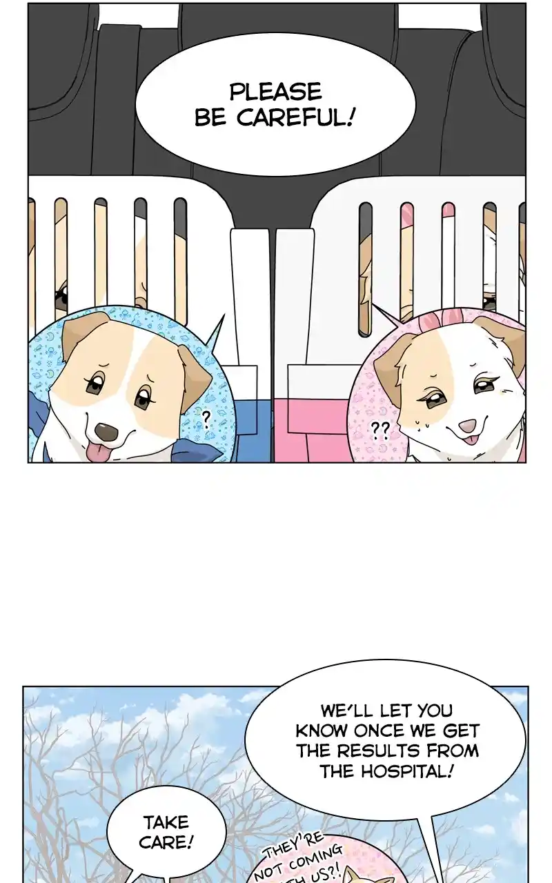 The Dog Diaries Chapter 144