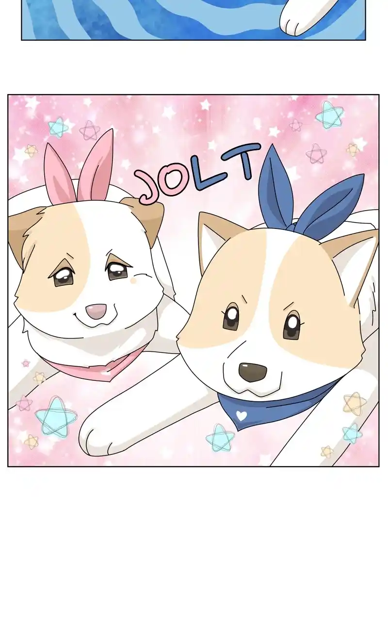 The Dog Diaries Chapter 144