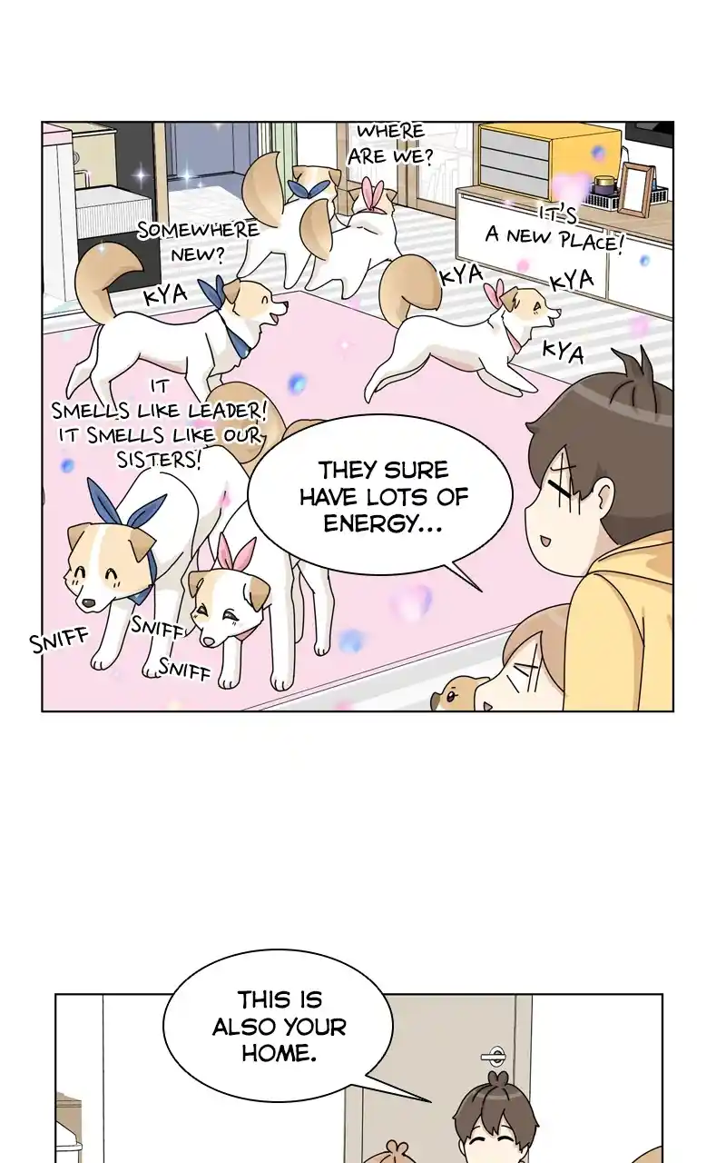 The Dog Diaries Chapter 144