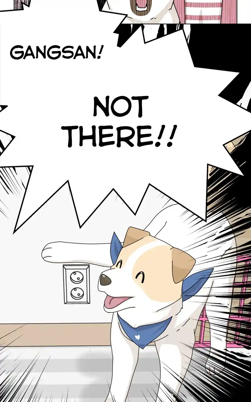 The Dog Diaries Chapter 144
