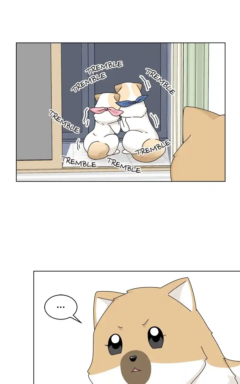 The Dog Diaries Chapter 144