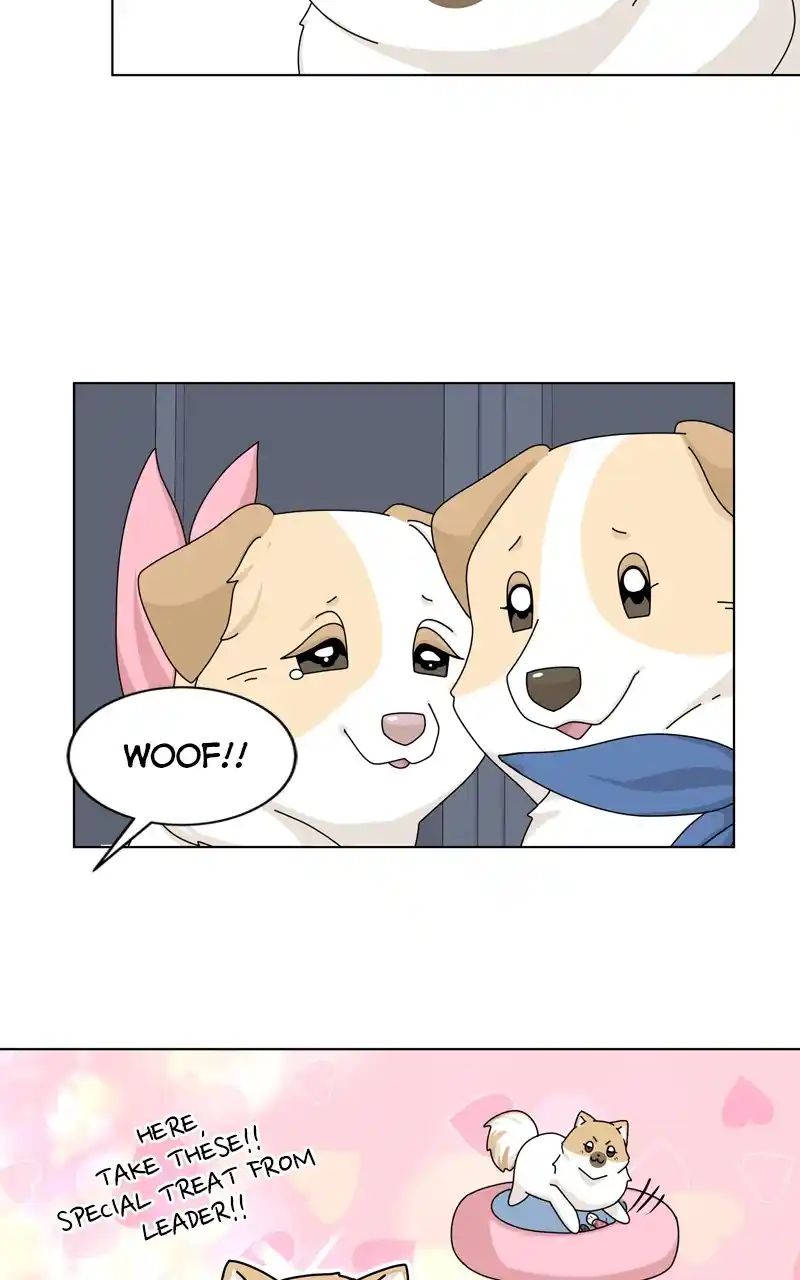 The Dog Diaries Chapter 144