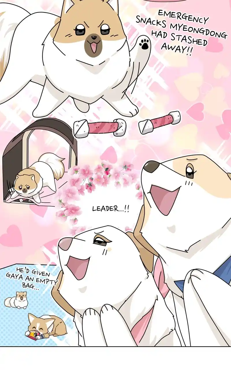 The Dog Diaries Chapter 144