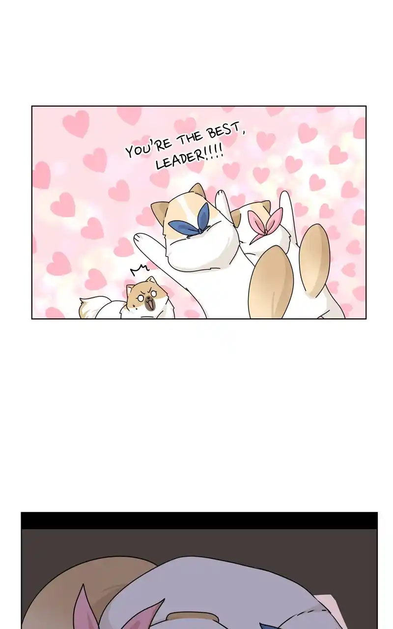 The Dog Diaries Chapter 144