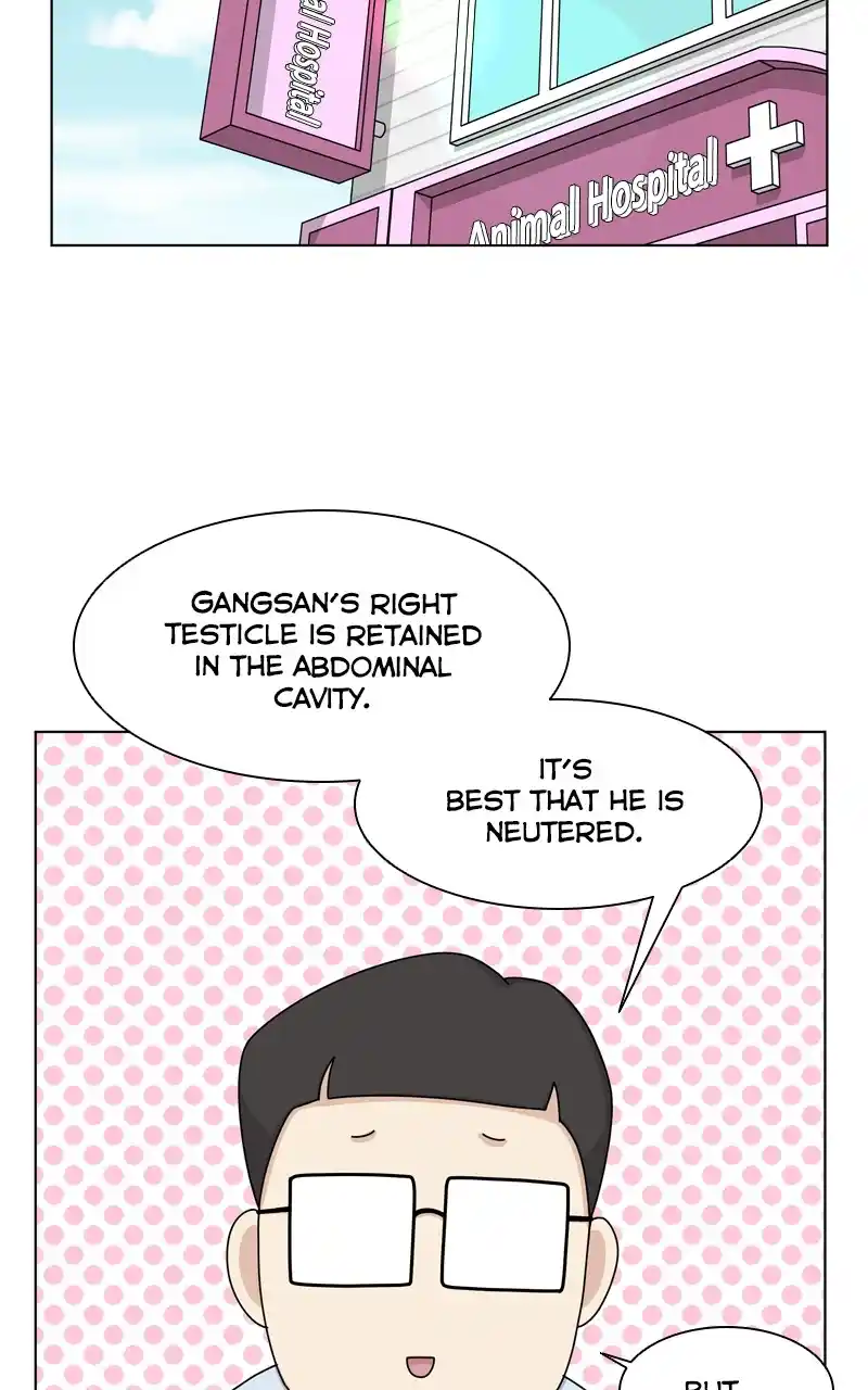 The Dog Diaries Chapter 144