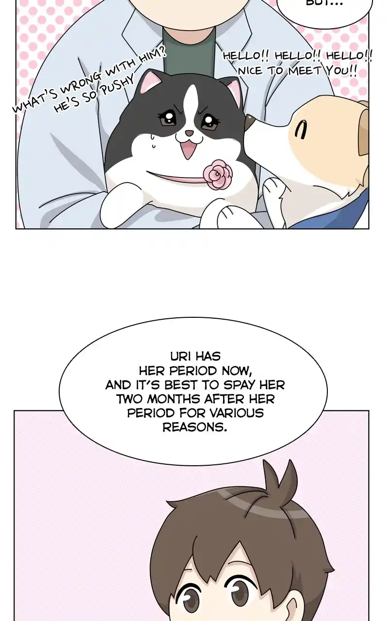 The Dog Diaries Chapter 144