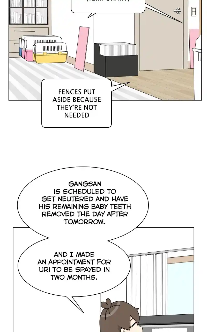 The Dog Diaries Chapter 144