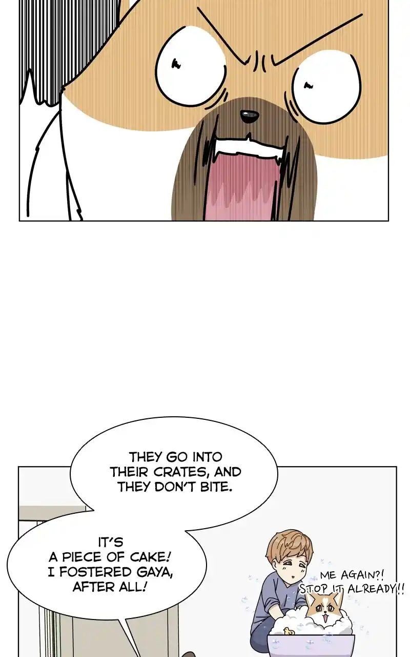 The Dog Diaries Chapter 144