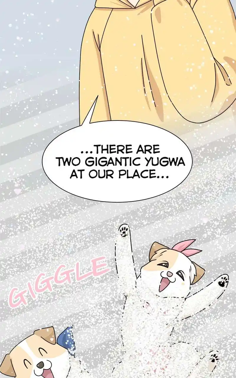 The Dog Diaries Chapter 144