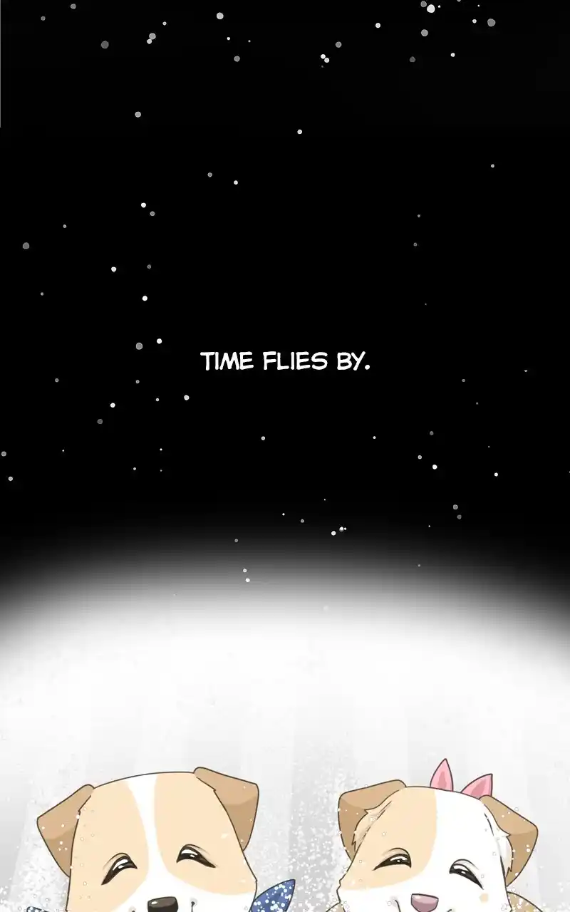 The Dog Diaries Chapter 144