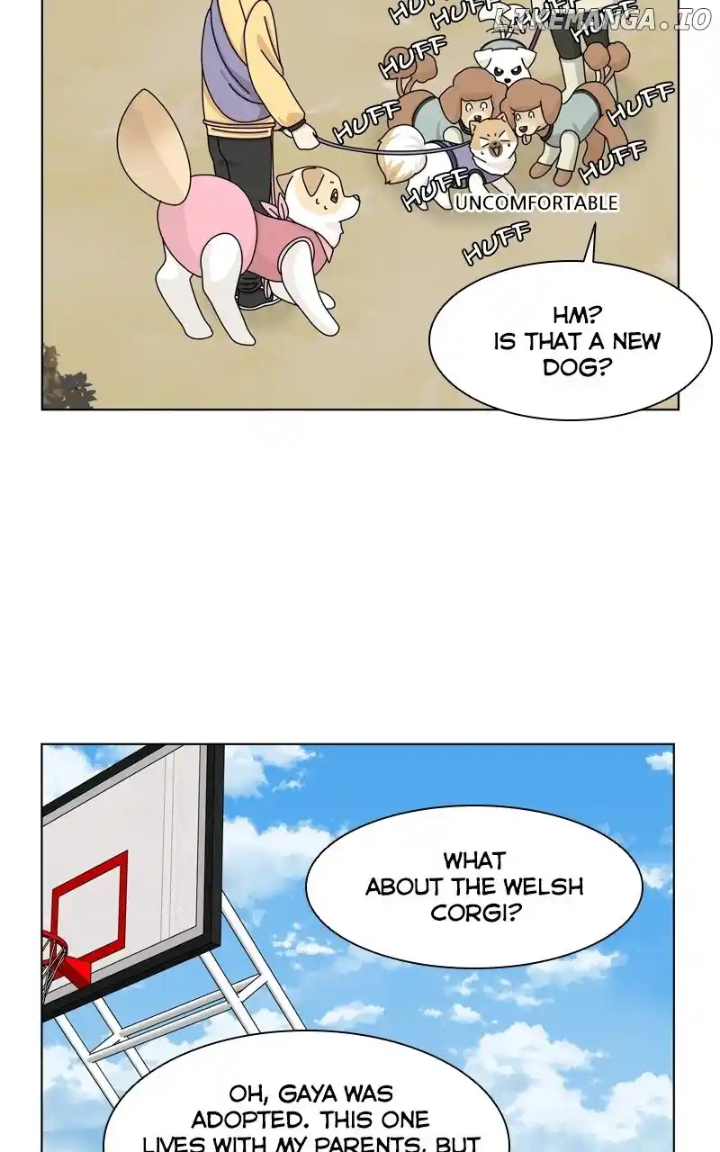 The Dog Diaries Chapter 147