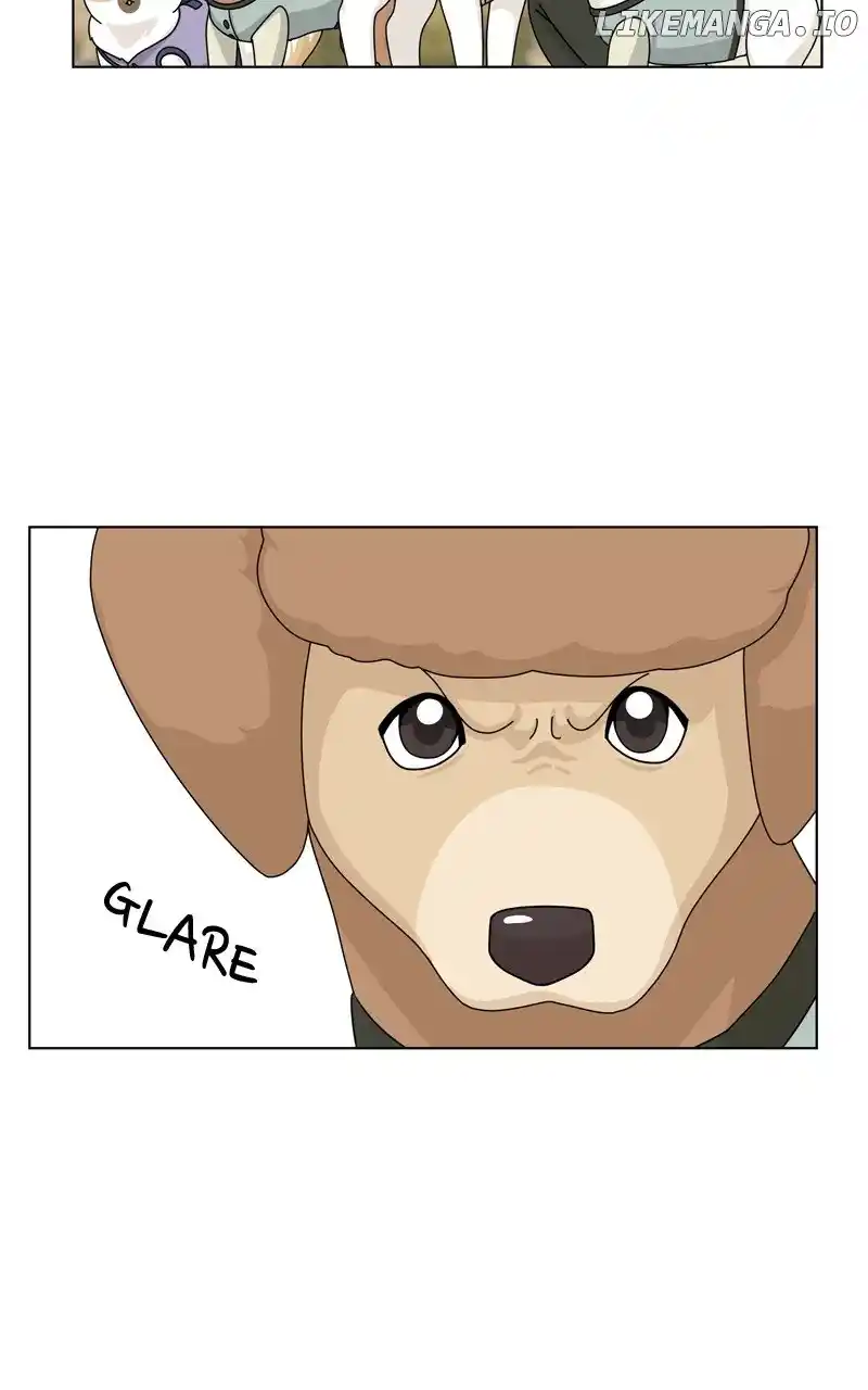 The Dog Diaries Chapter 147