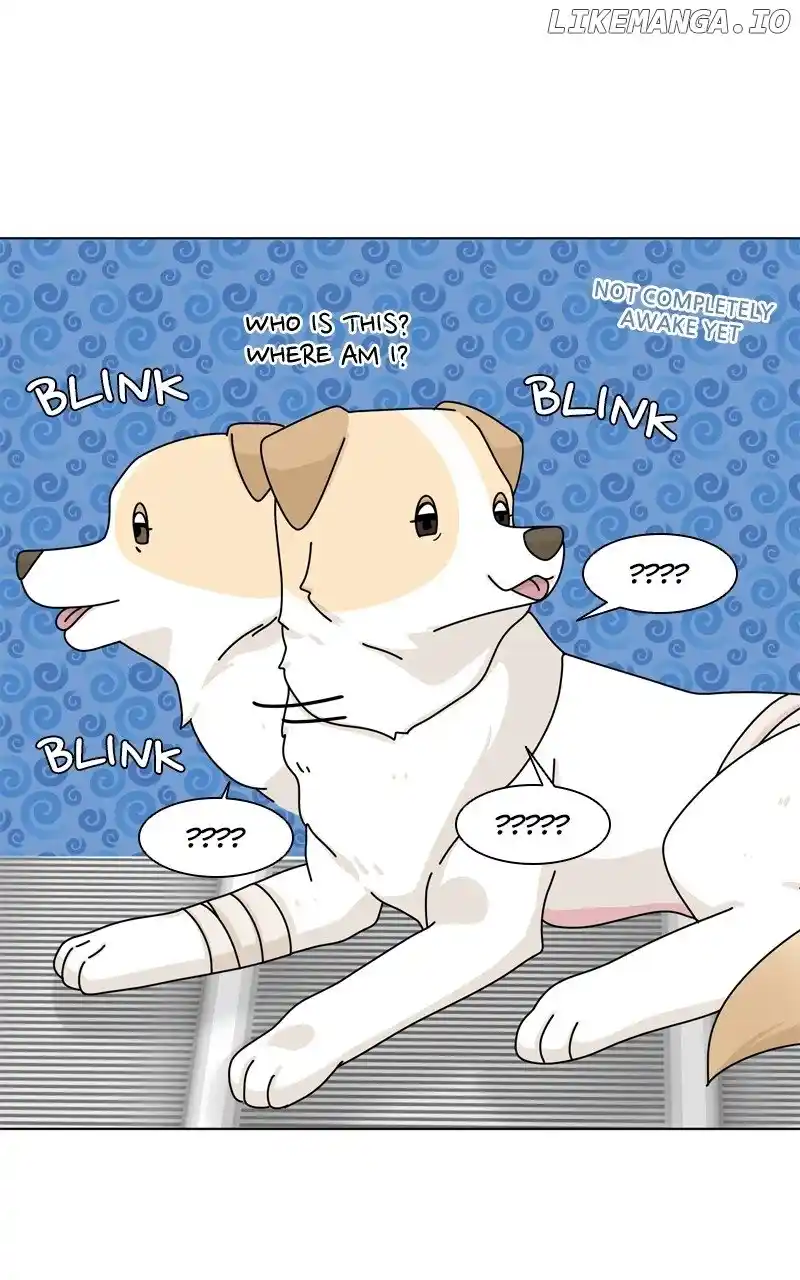 The Dog Diaries Chapter 147