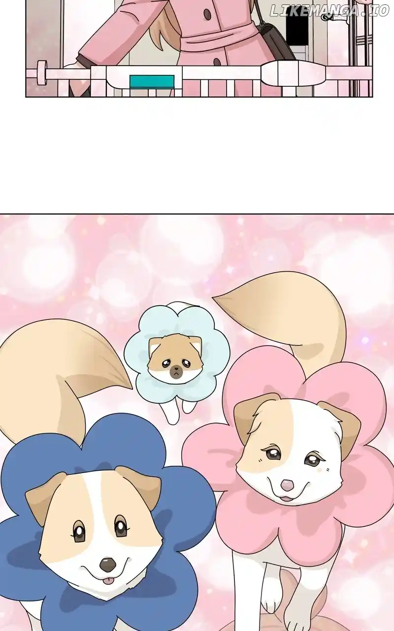 The Dog Diaries Chapter 147