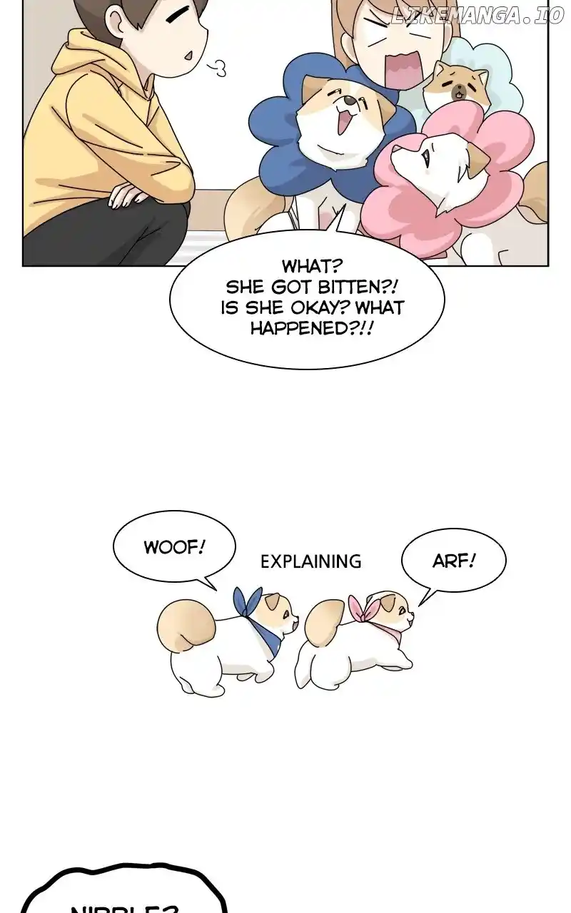 The Dog Diaries Chapter 147