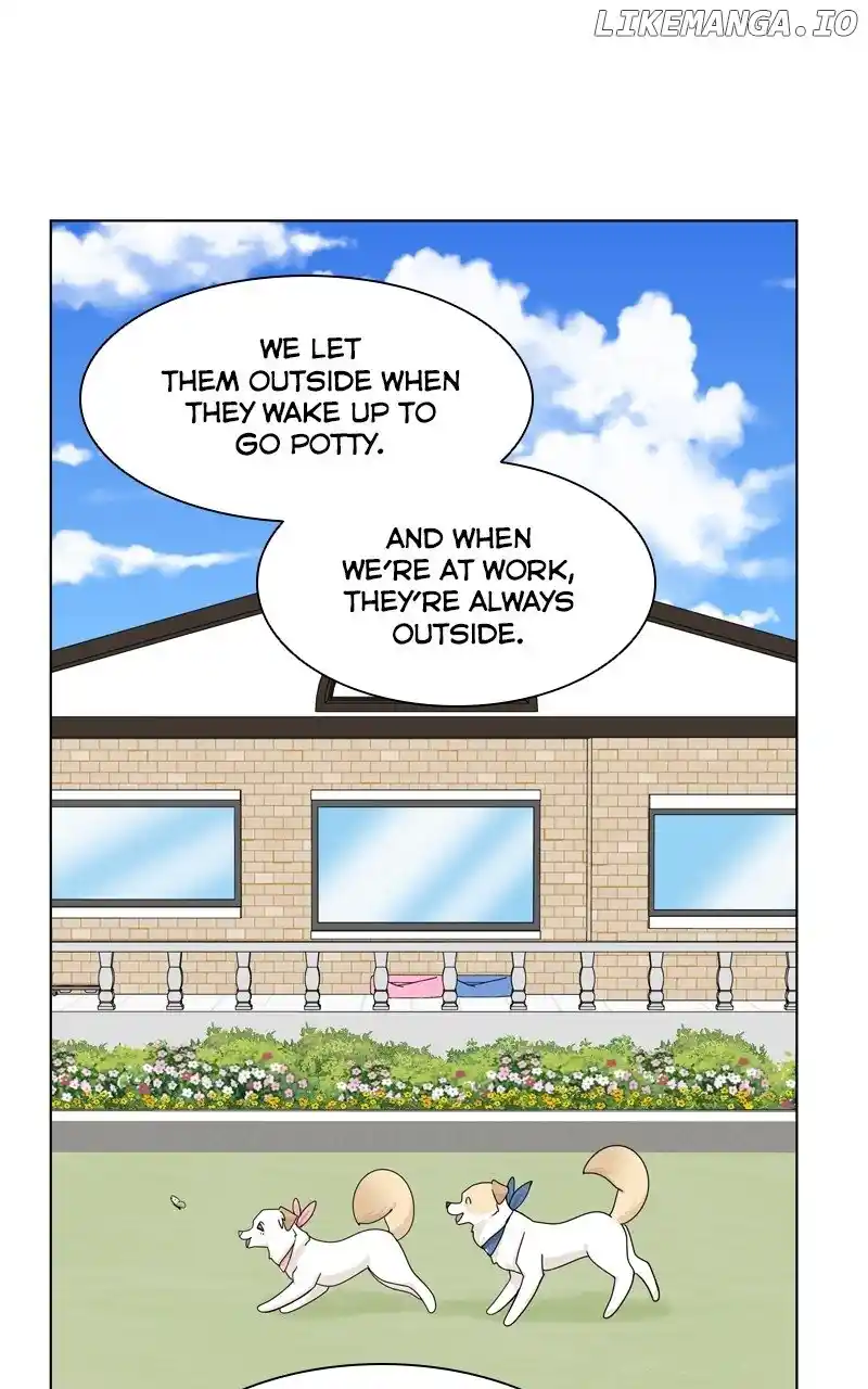 The Dog Diaries Chapter 148