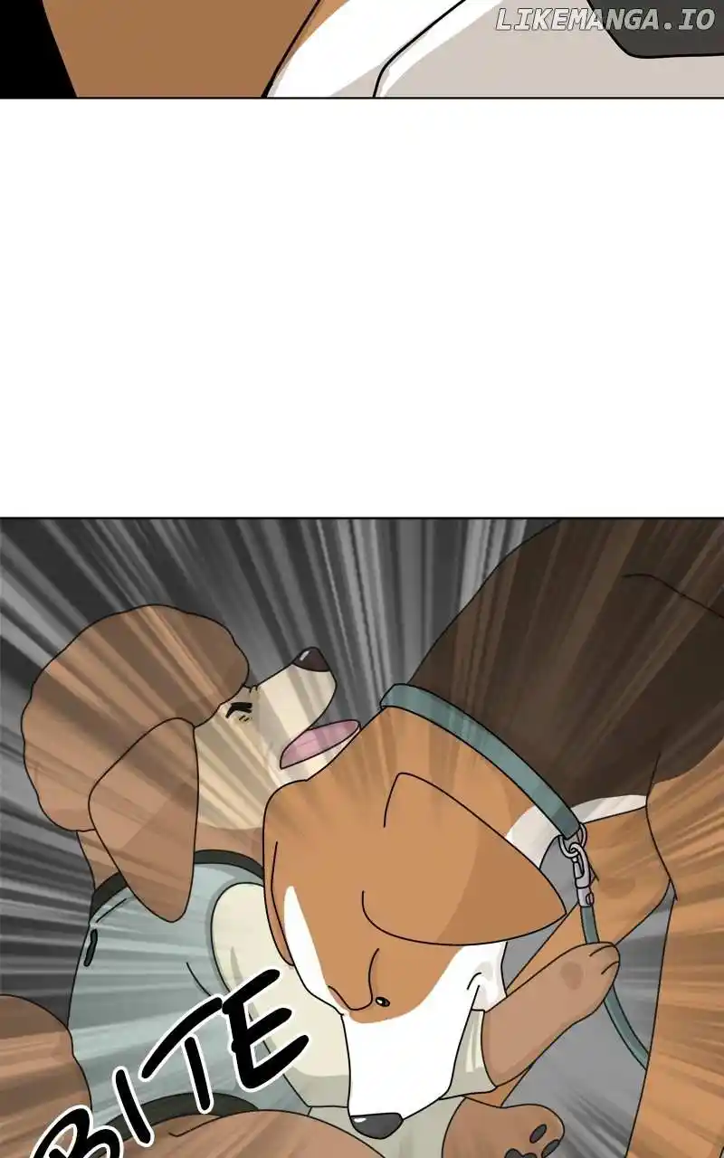 The Dog Diaries Chapter 149