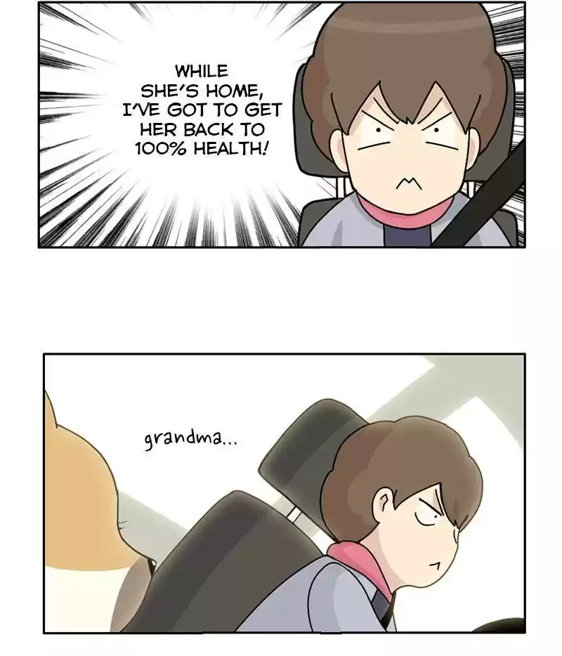 The Dog Diaries Chapter 15