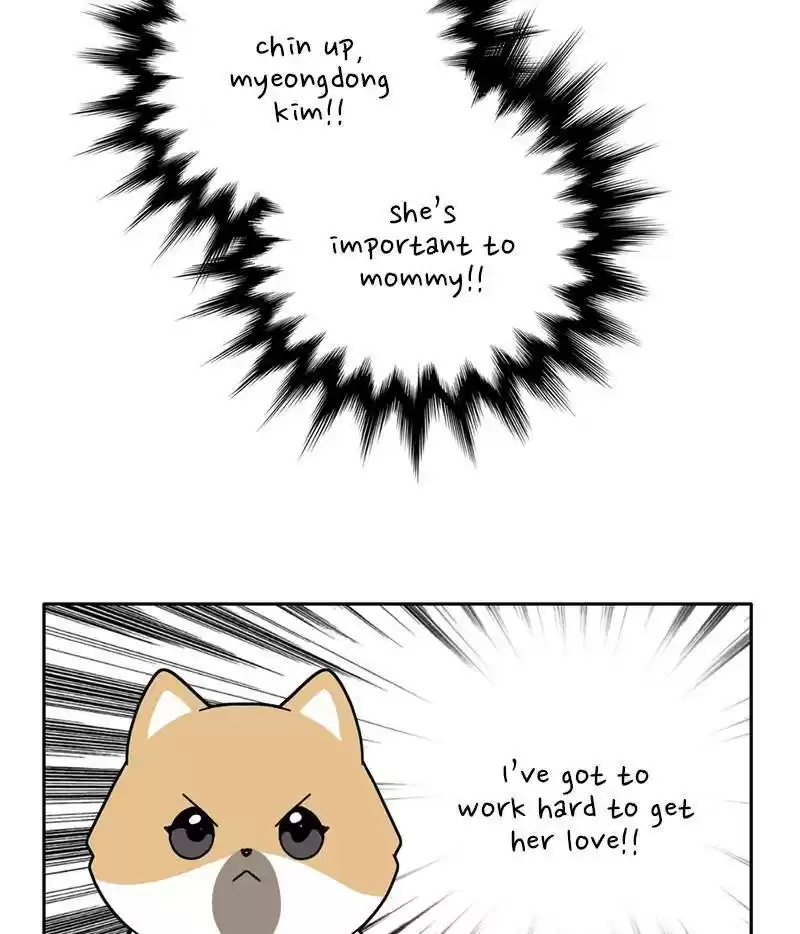 The Dog Diaries Chapter 15