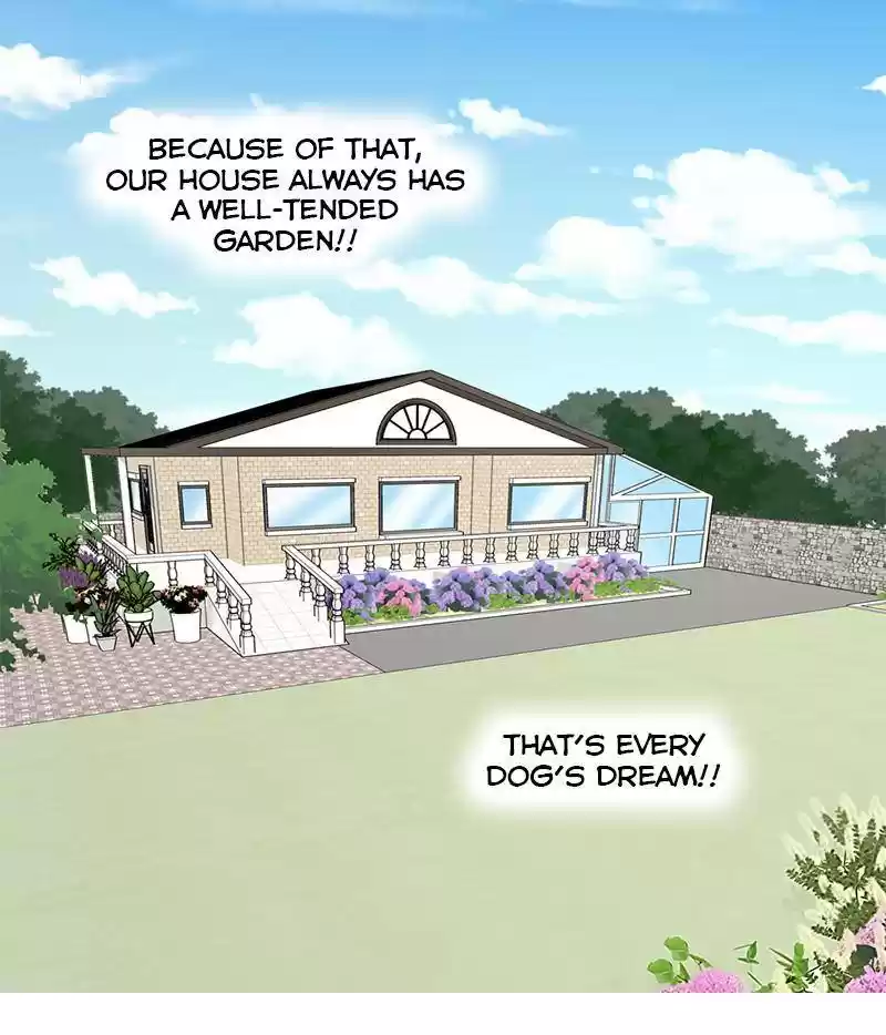 The Dog Diaries Chapter 15