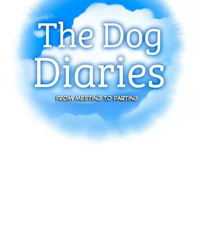 The Dog Diaries Chapter 15