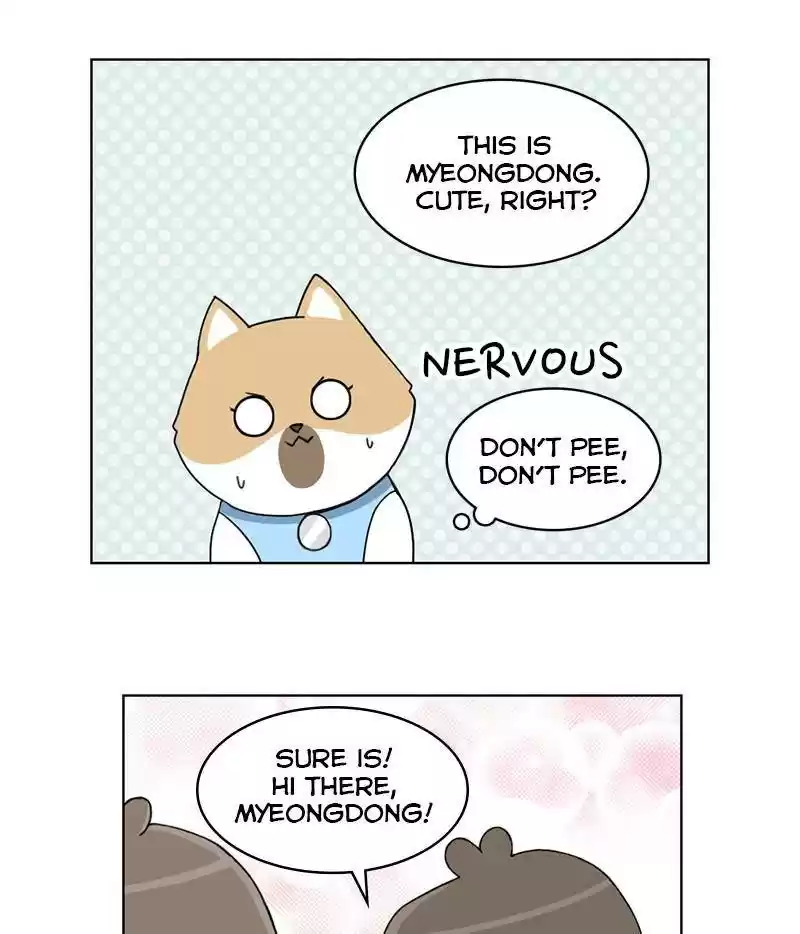 The Dog Diaries Chapter 15