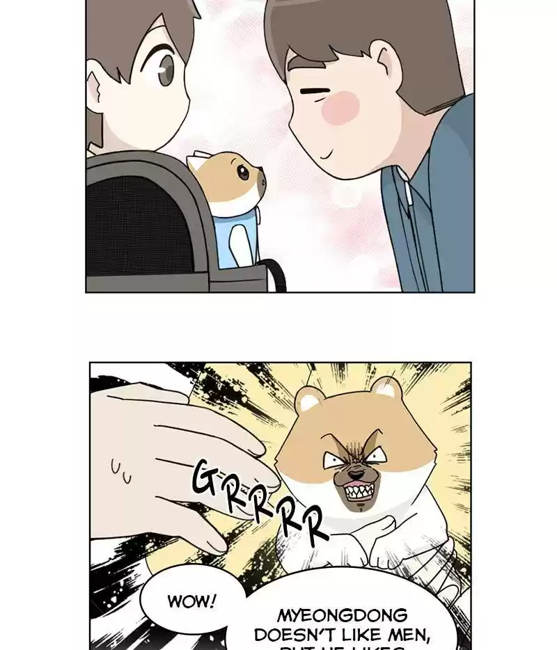 The Dog Diaries Chapter 15