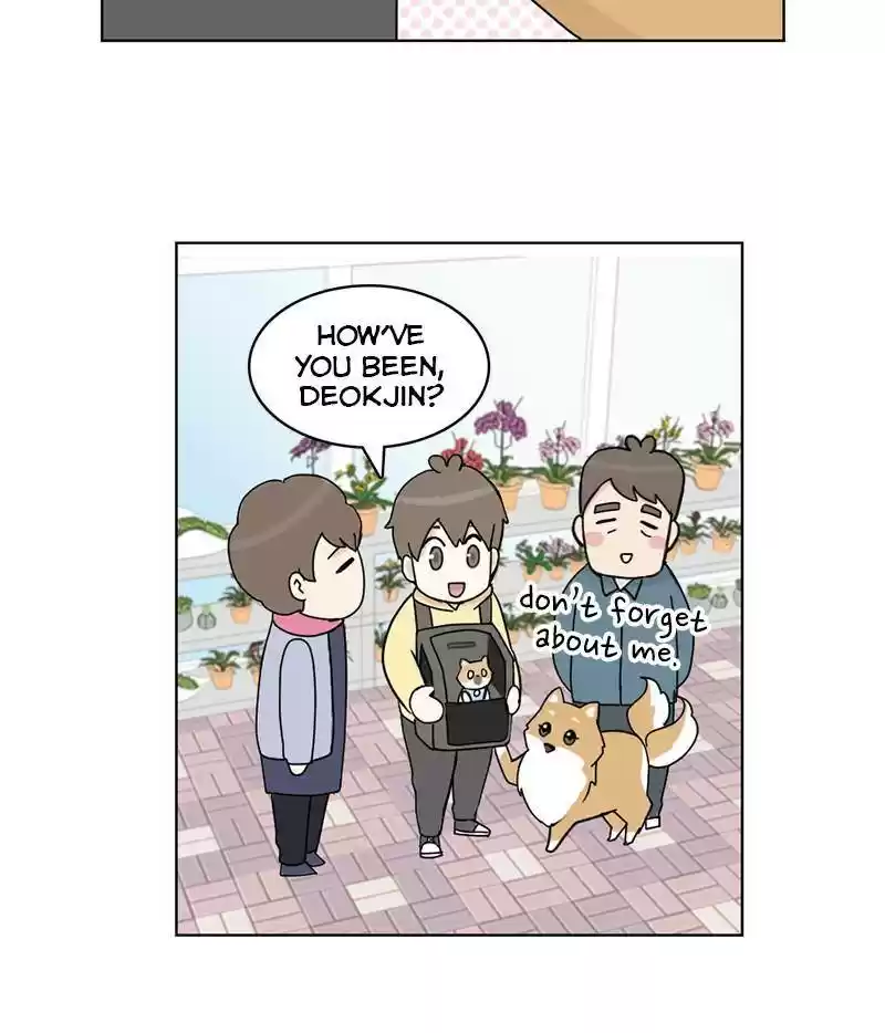 The Dog Diaries Chapter 15