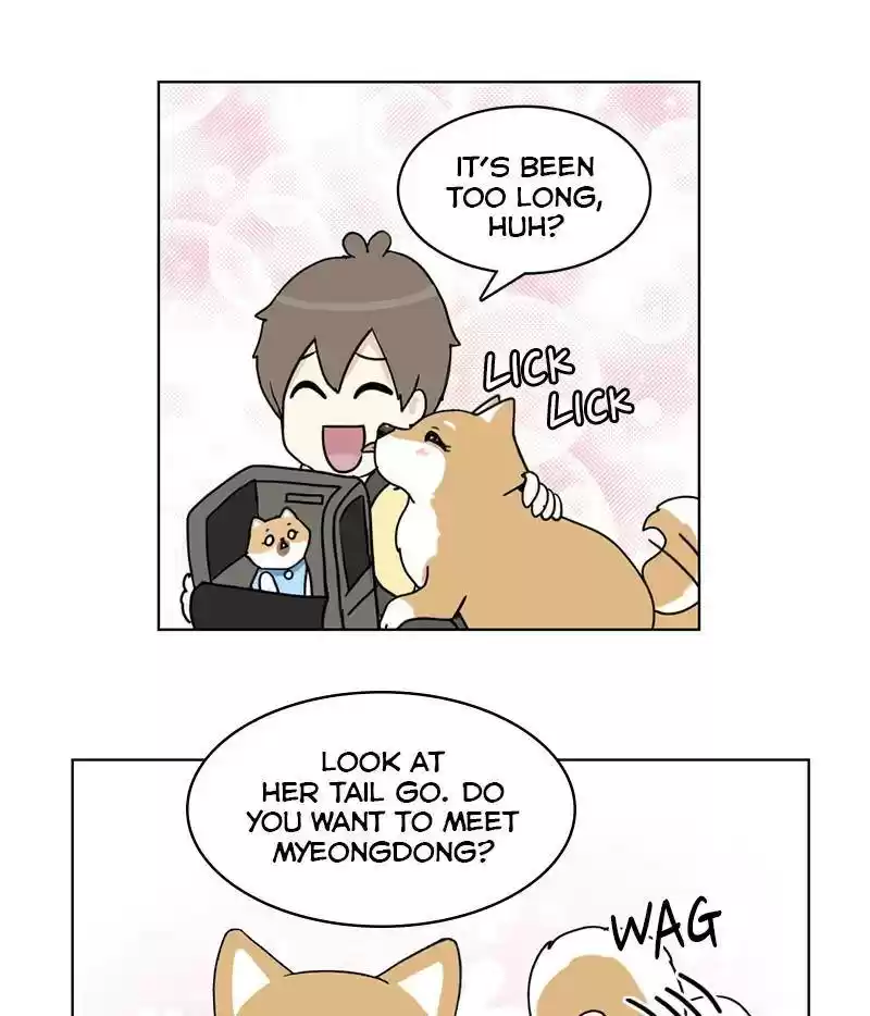 The Dog Diaries Chapter 15