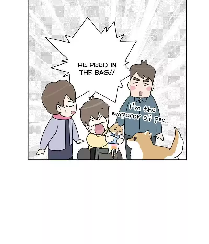 The Dog Diaries Chapter 15