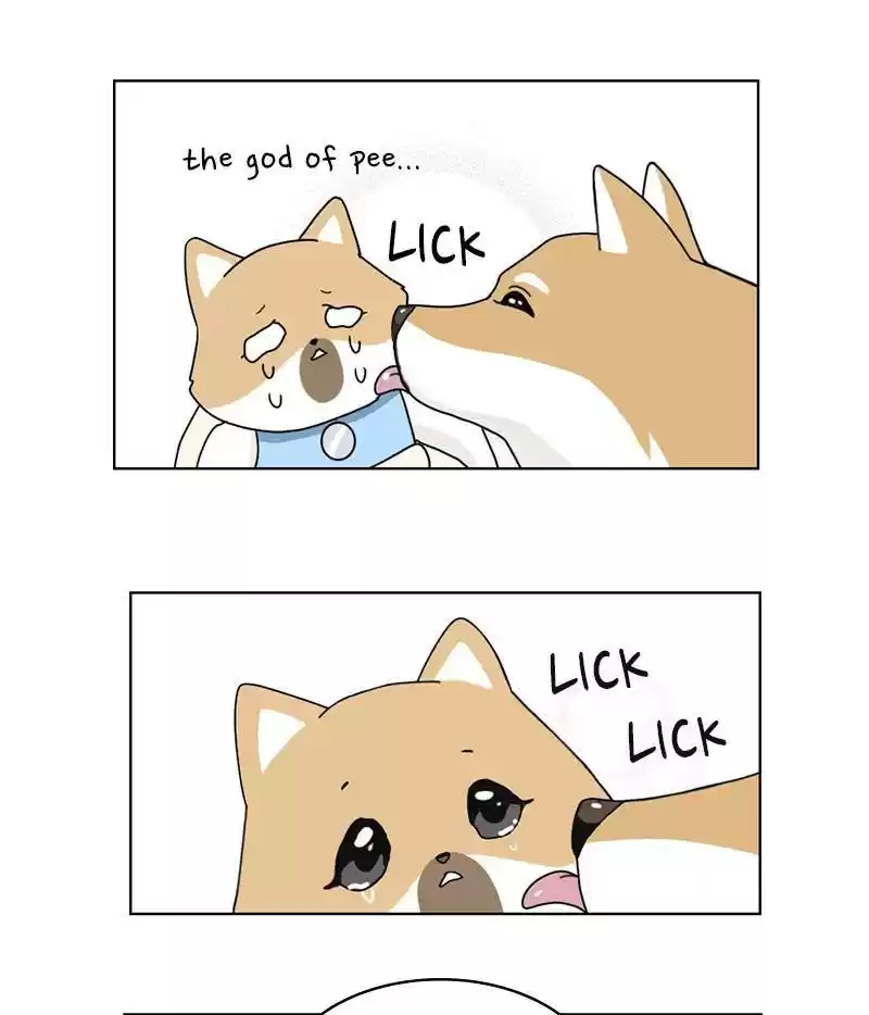 The Dog Diaries Chapter 15