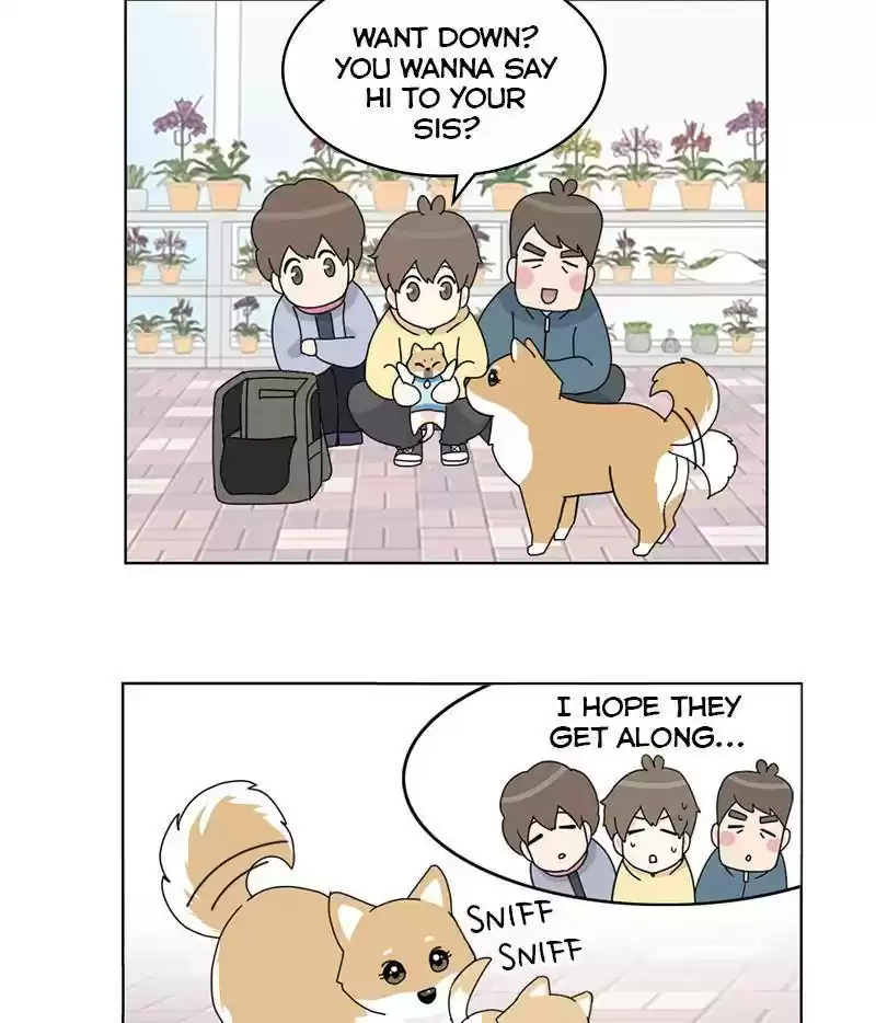 The Dog Diaries Chapter 15