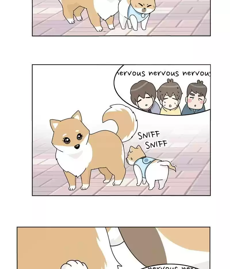 The Dog Diaries Chapter 15