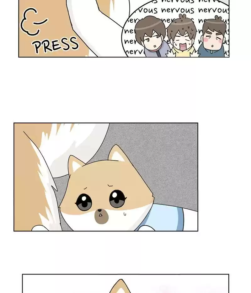 The Dog Diaries Chapter 15