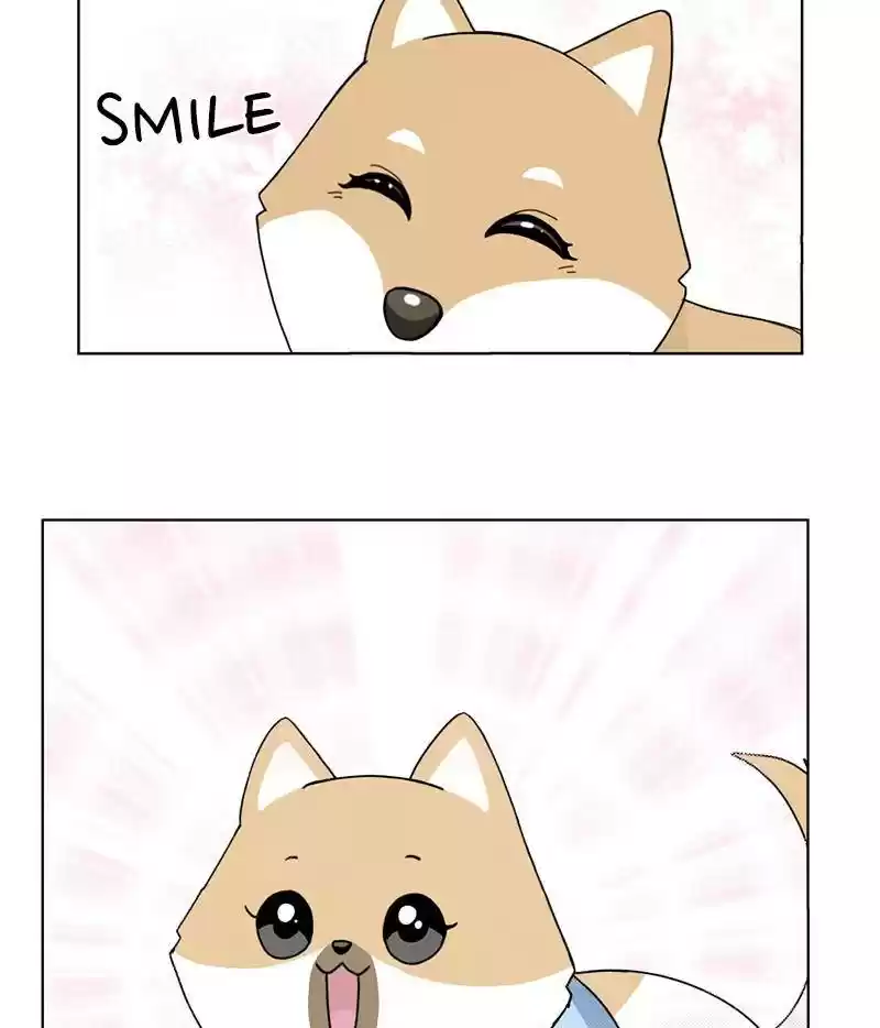 The Dog Diaries Chapter 15