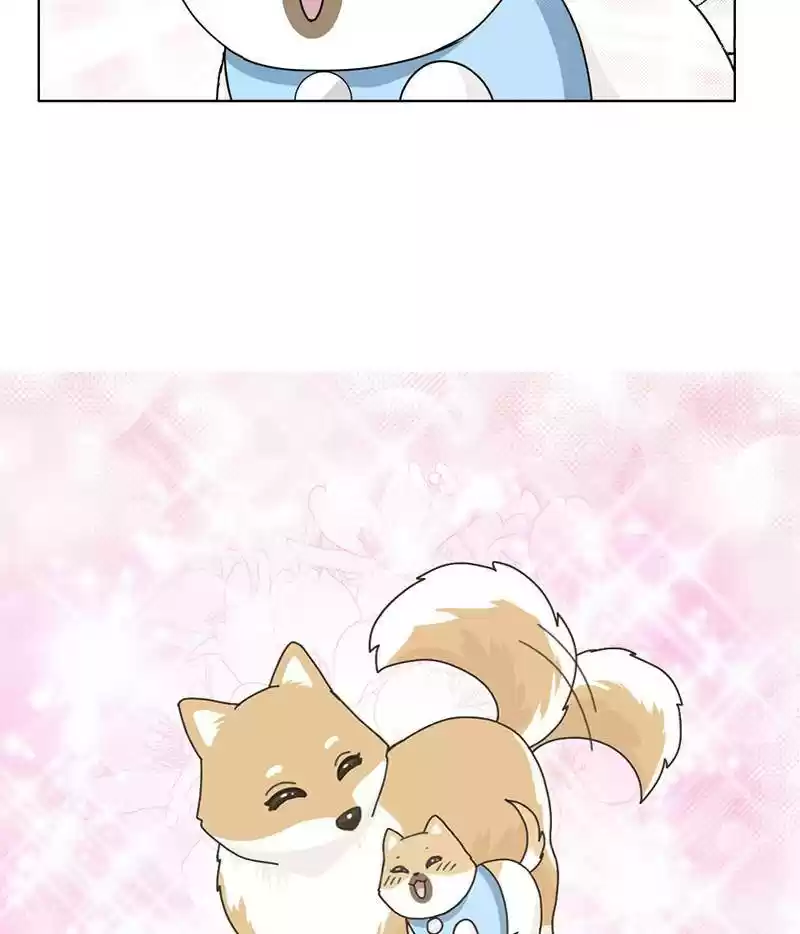 The Dog Diaries Chapter 15