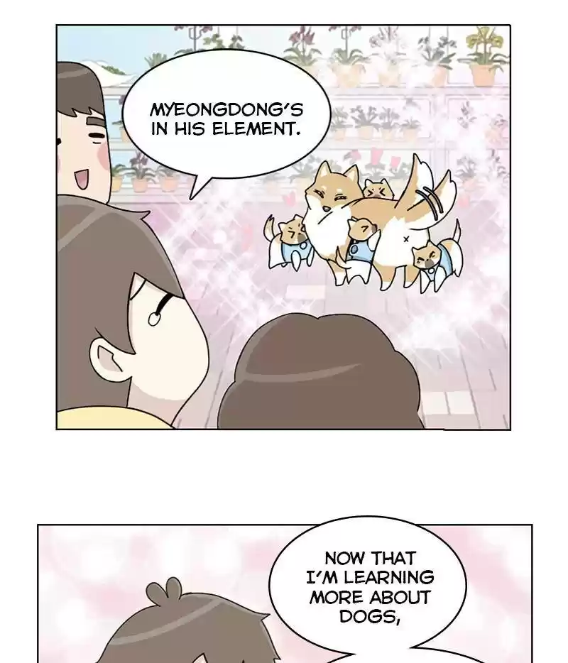 The Dog Diaries Chapter 15