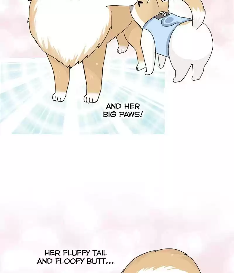 The Dog Diaries Chapter 15