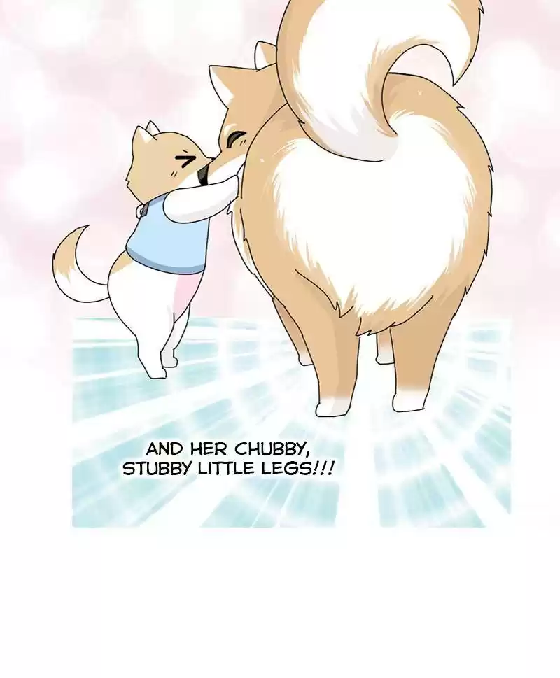 The Dog Diaries Chapter 15