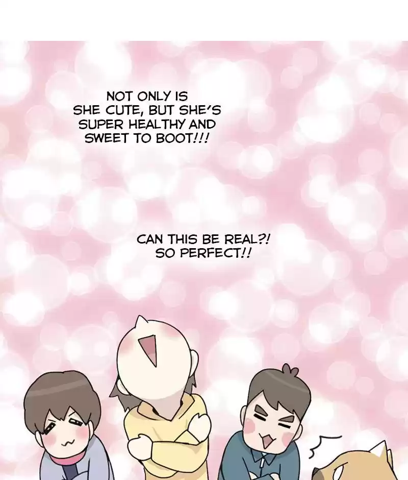 The Dog Diaries Chapter 15