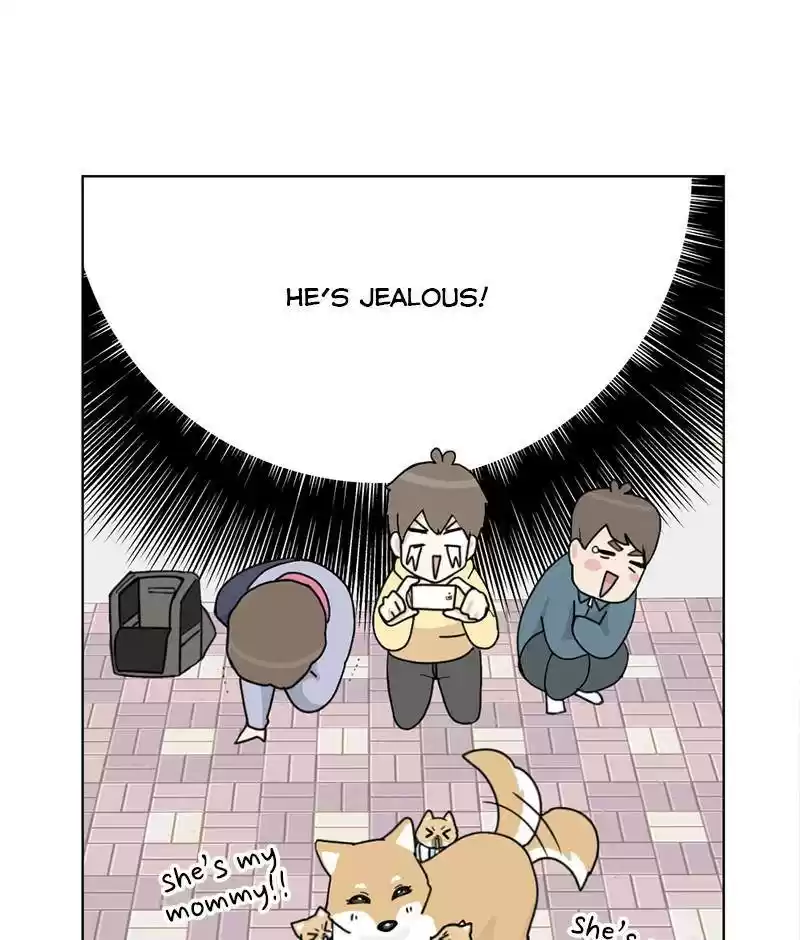 The Dog Diaries Chapter 15