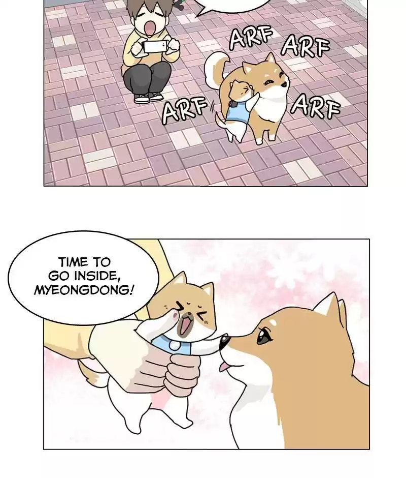 The Dog Diaries Chapter 15