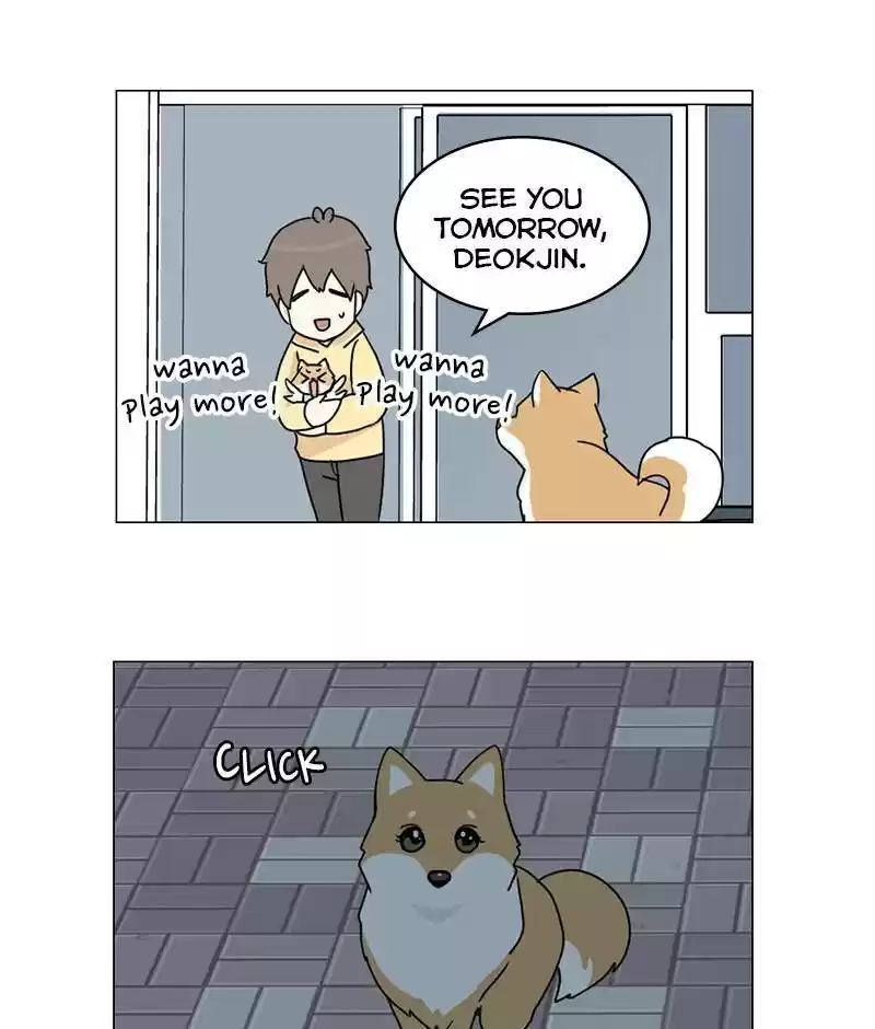 The Dog Diaries Chapter 15