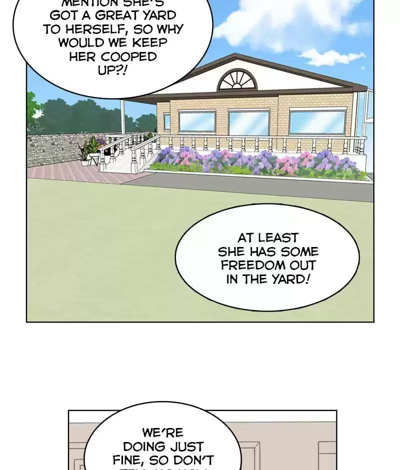 The Dog Diaries Chapter 15